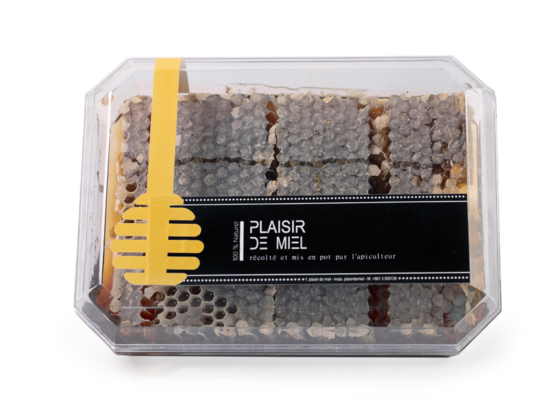 Oak Forest Honeycomb | 600g - Minbaladeh.world