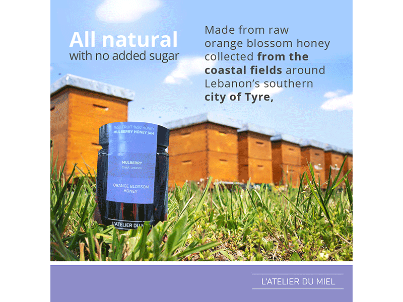 Mulberry Honey Jam 450g Minbaladeh.world