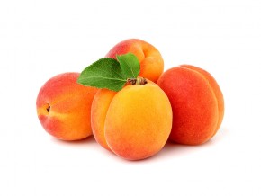 Apricot