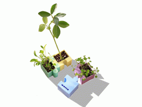 Plant Your Puzzle